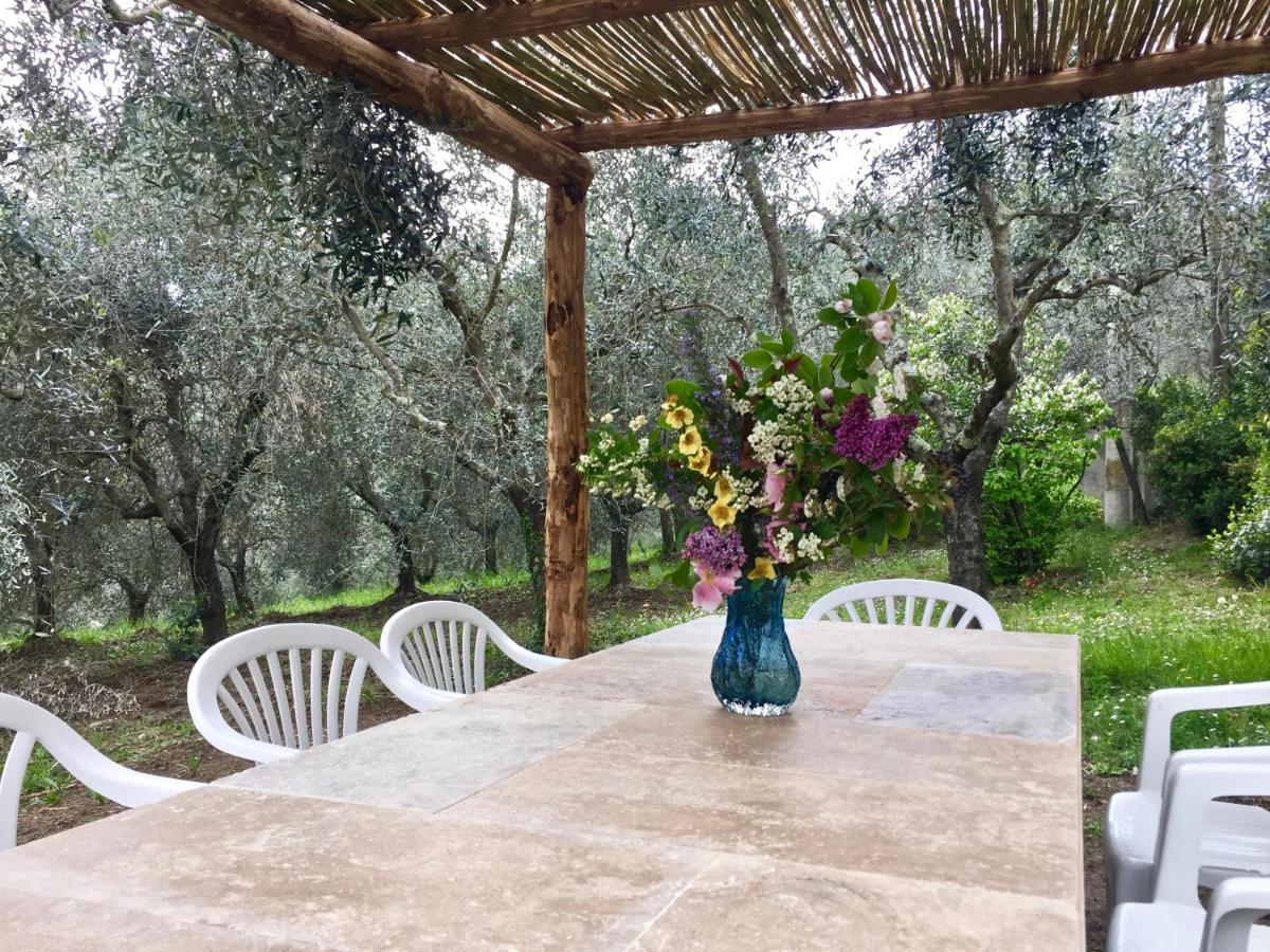 Agriturismo Fattoria Celle Figline Valdarno Exterior photo