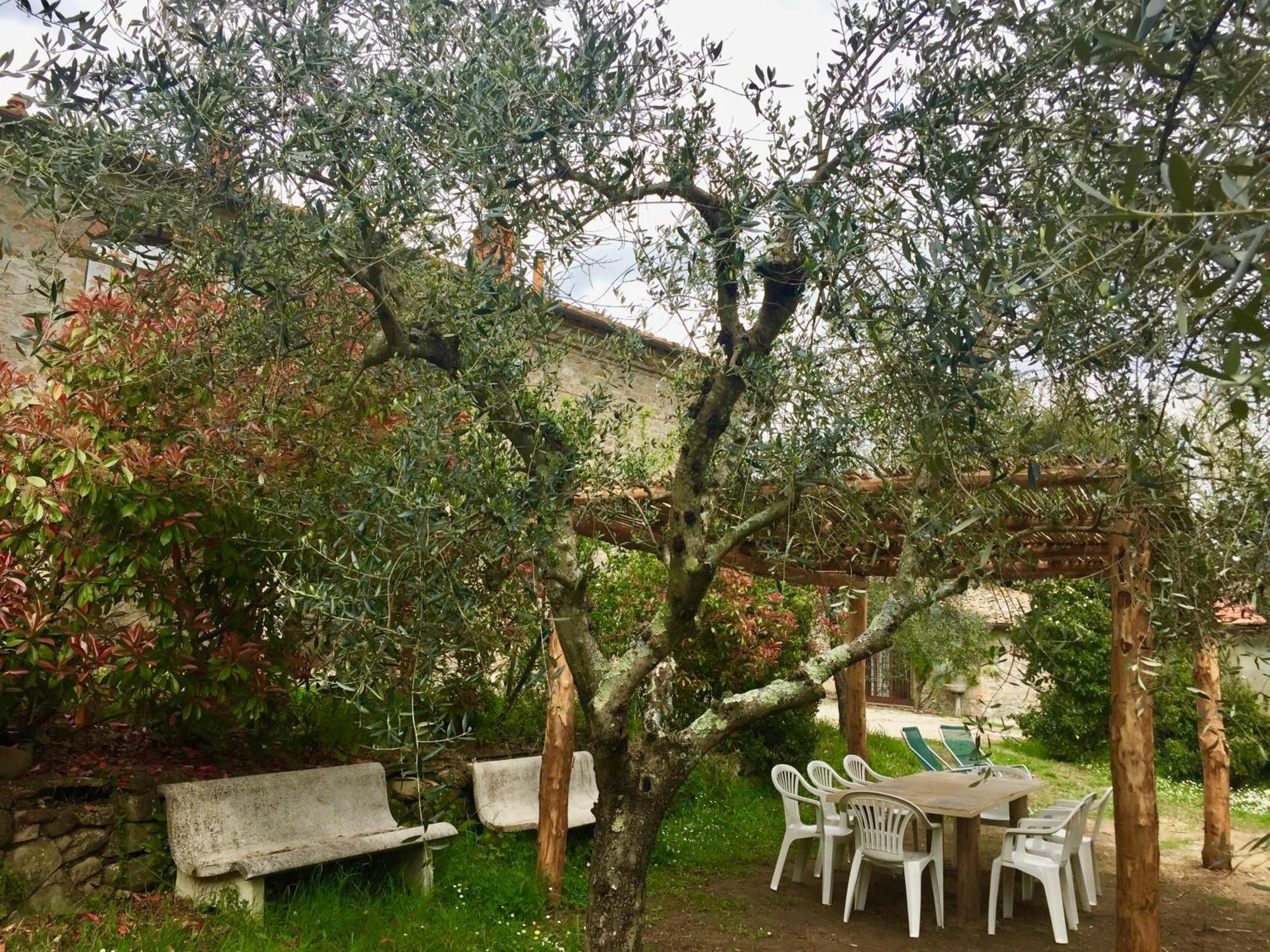 Agriturismo Fattoria Celle Figline Valdarno Room photo