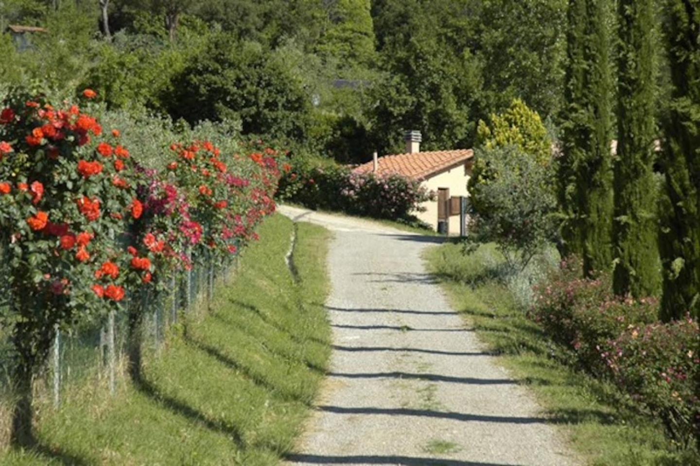 Agriturismo Fattoria Celle Figline Valdarno Room photo